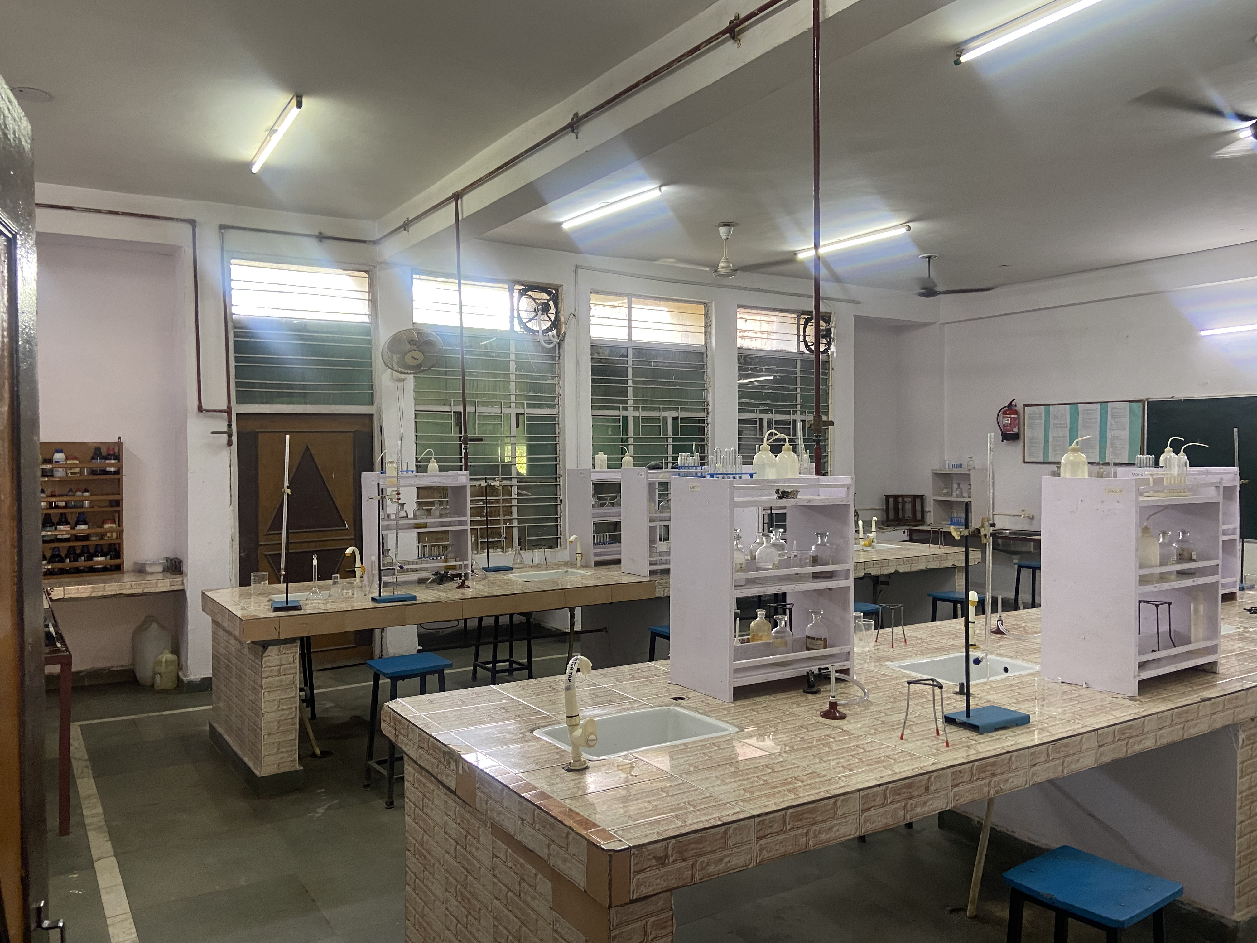 undergraduate education